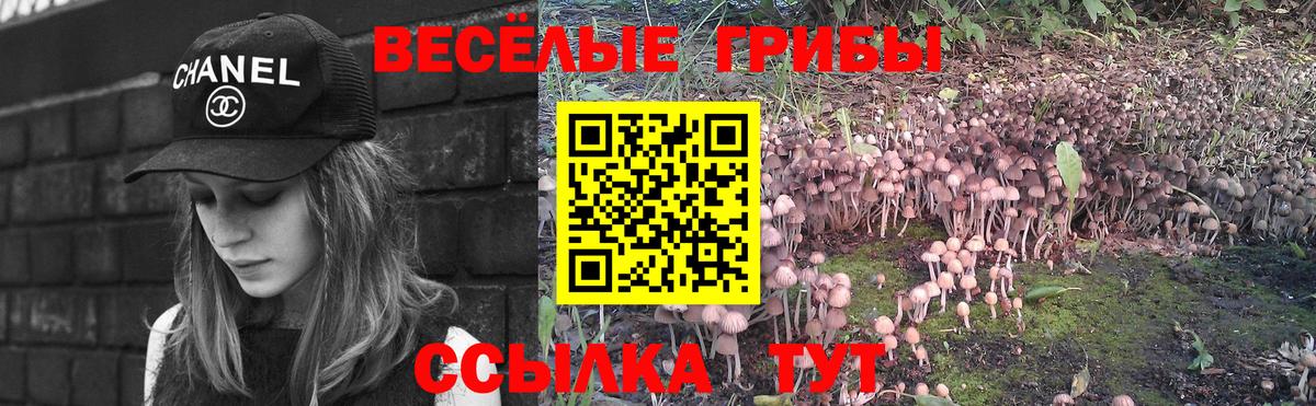 Зеленодольск  Галлюциногенные грибы Cubensis  Вход с VPN  Галлюциногенные грибы GOLDEN TEACHER 